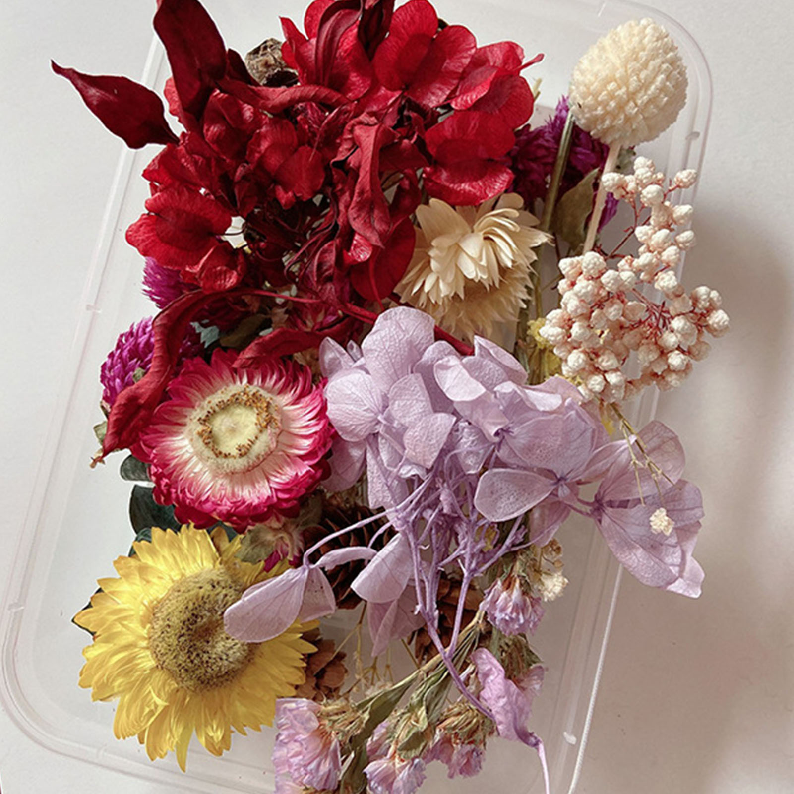 家の装飾のための芸術的な手漉きキット,乾燥した花の形をした装 - Dried Herbs のレビューと価格