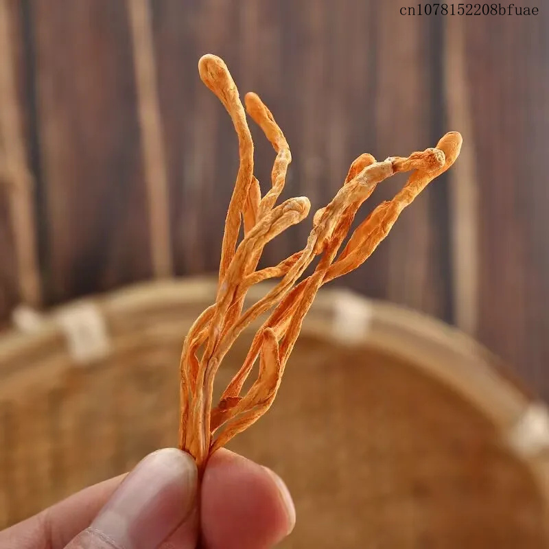 250g/500g乾燥冬虫夏草の花 - 工芸、装飾、芳香用途 - Dried Herbs のレビューと価格