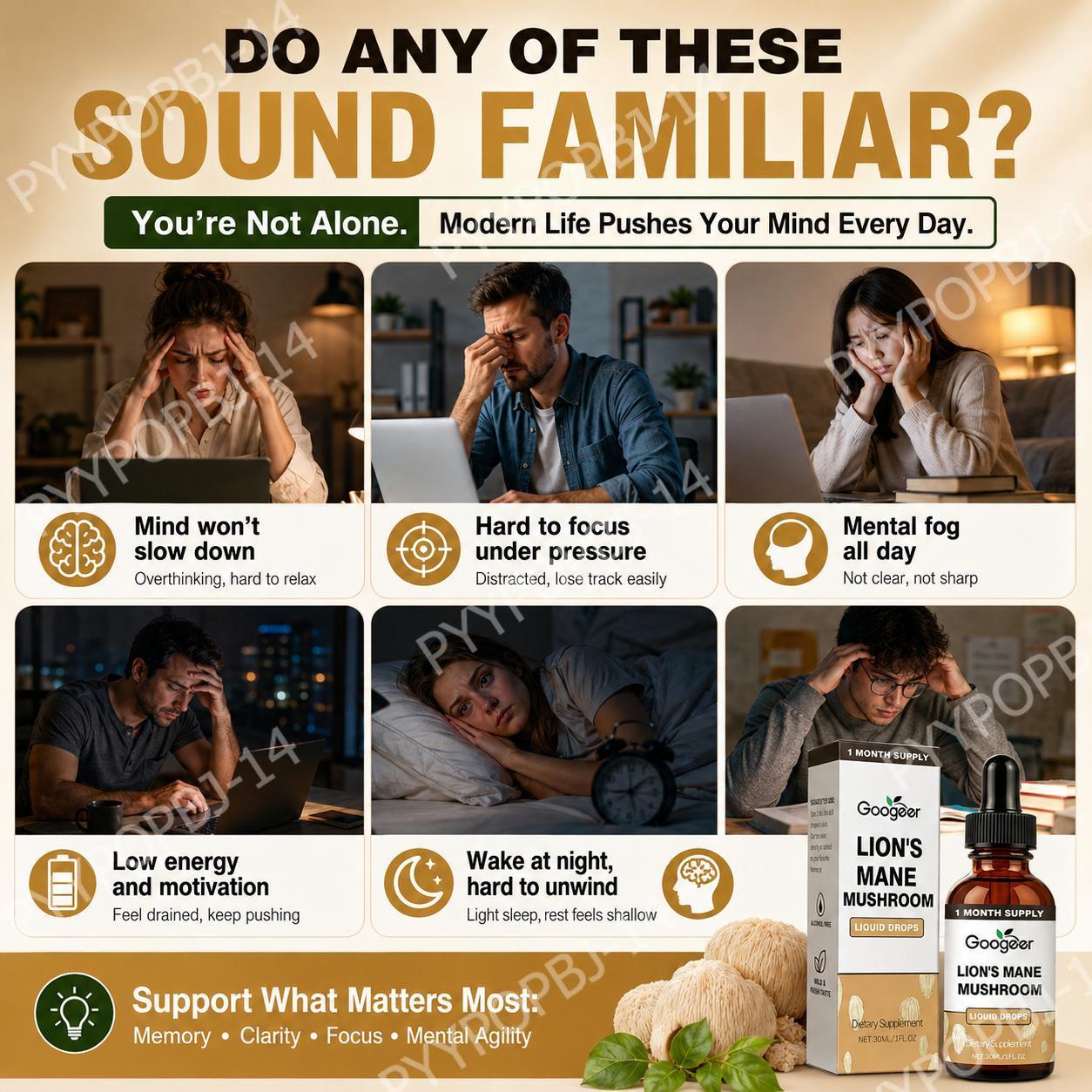 グーガーライオンズメーンマッシュルーム液体ドロップス 記憶力 - Herbal Tea のレビューと価格