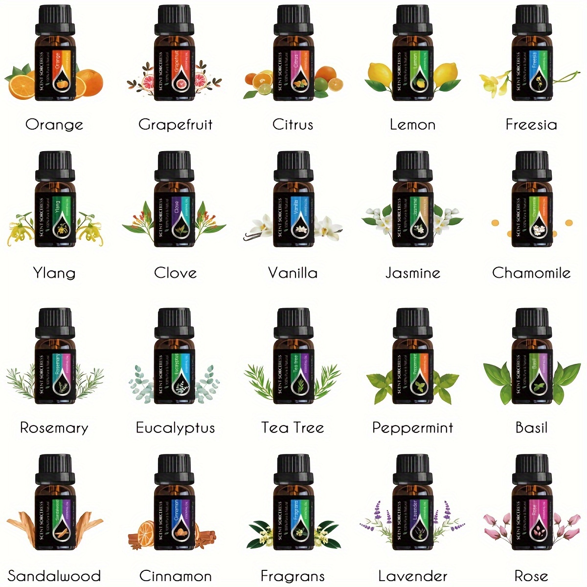 20 ピース/セットクラシックブランドエッセンシャルオイルセ - Lavender Oil のレビューと価格