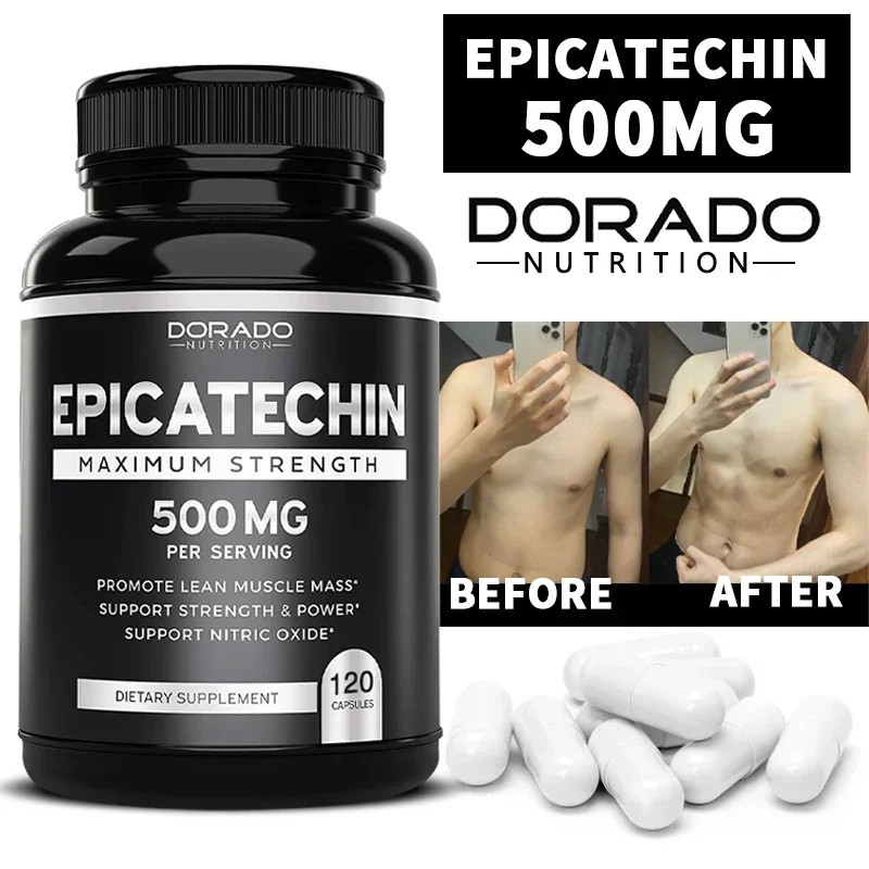 Epicatechin抽出サプリメント、lean muscl - Herbal Supplement のレビューと価格