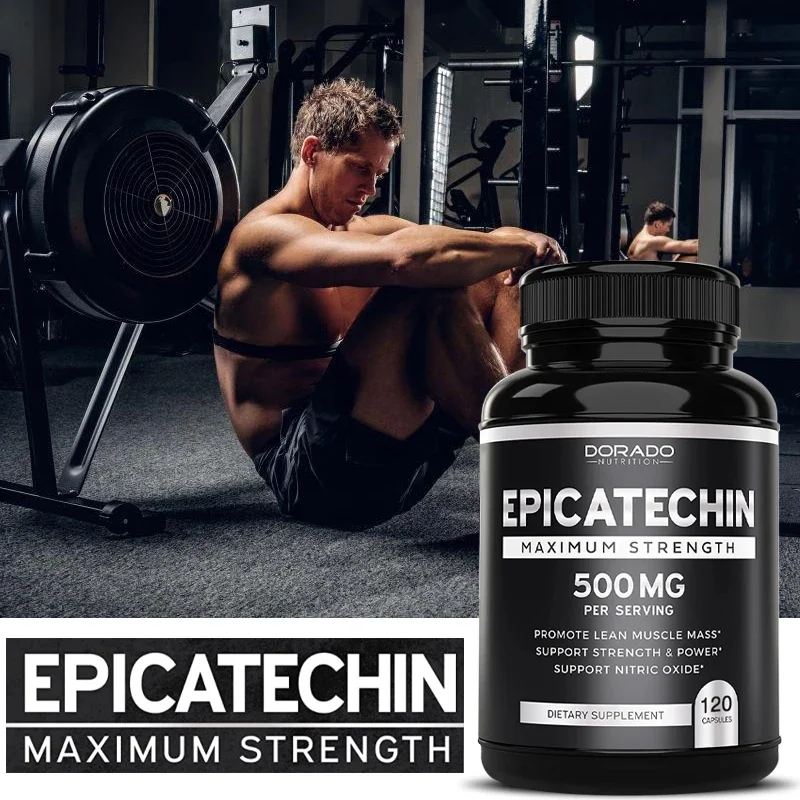 Epicatechin抽出サプリメント、lean muscl - Herbal Supplement のレビューと価格