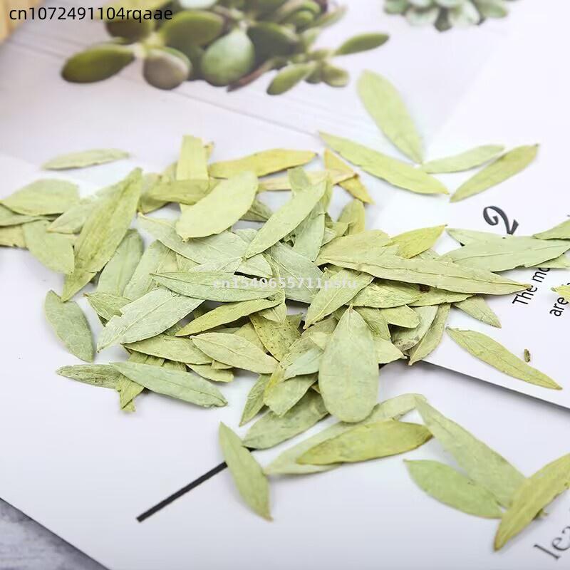 プレミアムオーガニックセンナ葉＆パウダー天然ハーブ、クレンジ - Dried Herbs のレビューと価格
